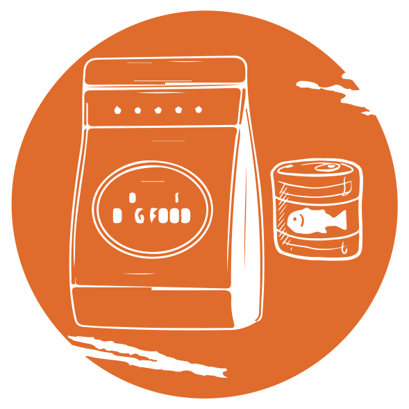 Destacados 0000s 0000 capa 107