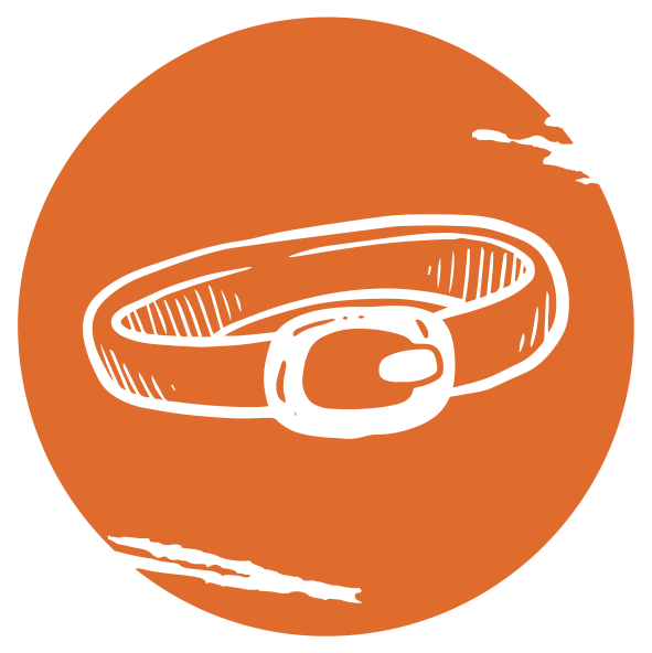 Destacados 0000s 0005 capa 102