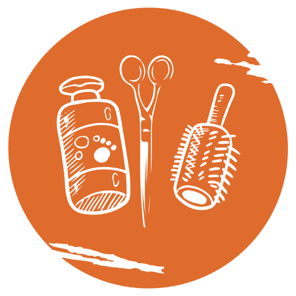 Destacados 0000s 0007 capa 100