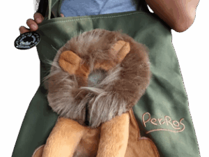 Bolso de Transporte “Leoncito”