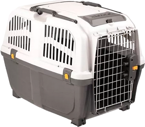 Transportadora Skudo 7