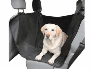 Captura de pantalla 2025 07 05 155209